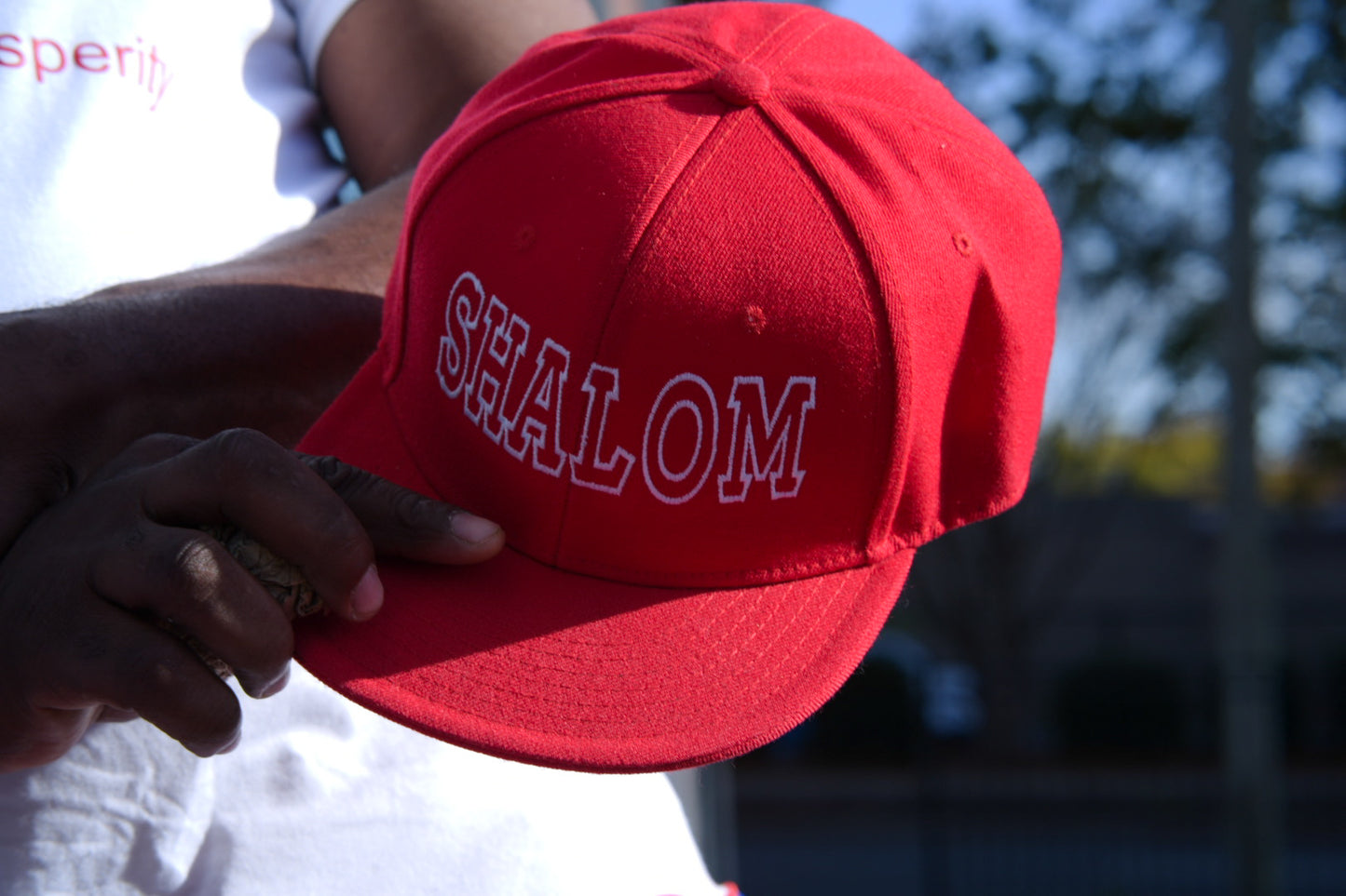 Shalom